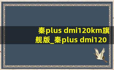 秦plus dmi120km旗舰版_秦plus dmi120km旗舰版落地什么价